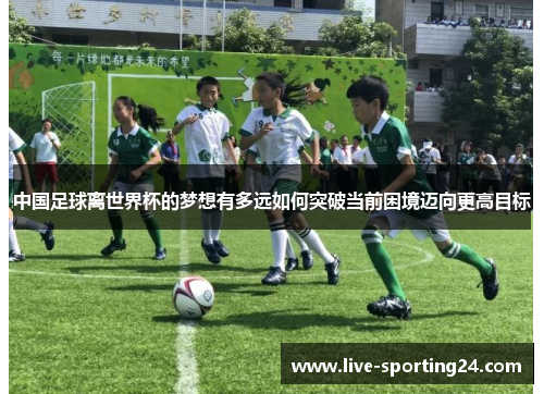 中国足球离世界杯的梦想有多远如何突破当前困境迈向更高目标