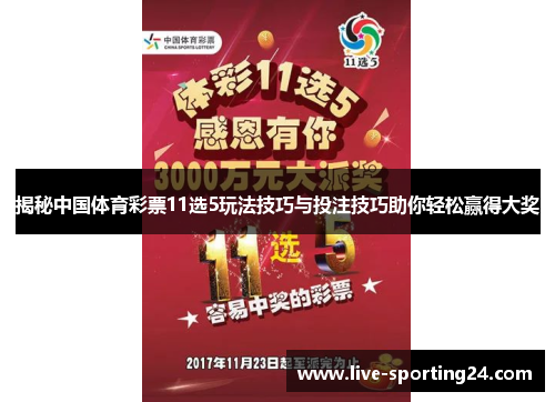 揭秘中国体育彩票11选5玩法技巧与投注技巧助你轻松赢得大奖
